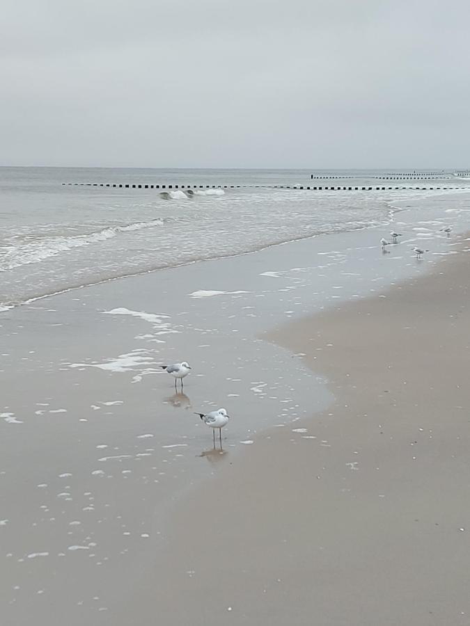 Achterwasser Blick Lejlighed Ückeritz Eksteriør billede