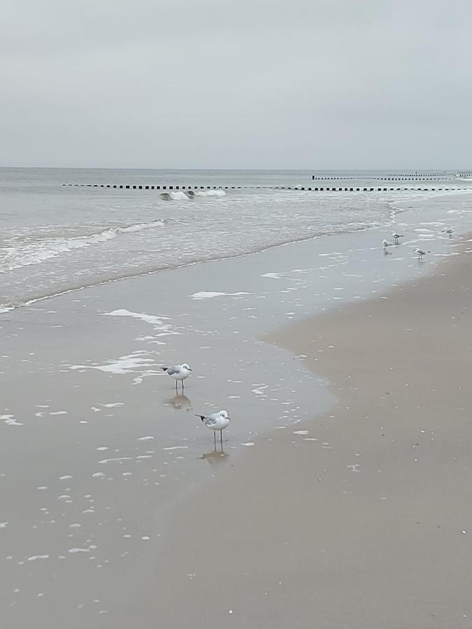 Achterwasser Blick Ückeritz Eksteriør billede