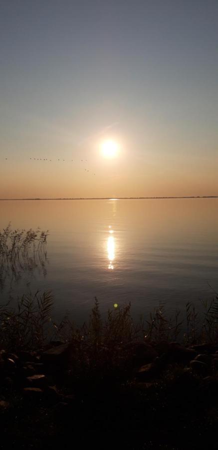 Achterwasser Blick Lejlighed Ückeritz Eksteriør billede